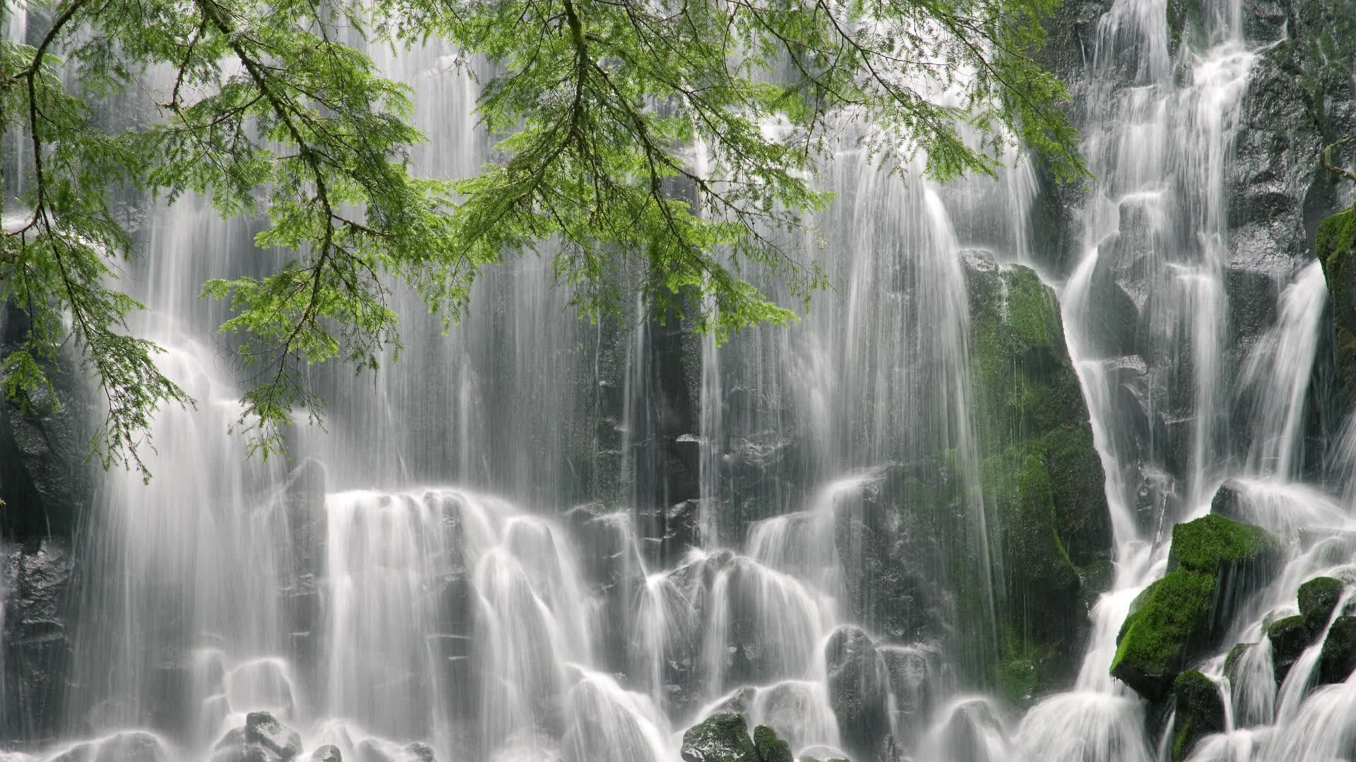 世界保龄球巡回赛在校园设体验点，世界保龄球联合会