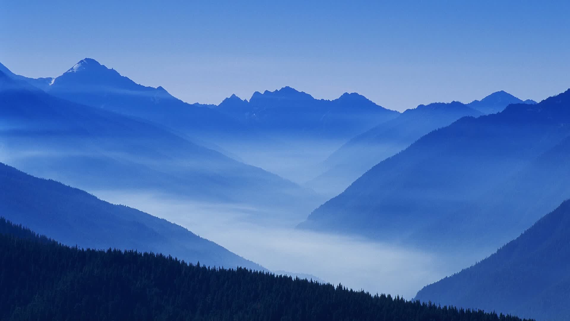 世界保龄球巡回赛在校园设体验点，世界保龄球联合会